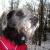 luvmydog